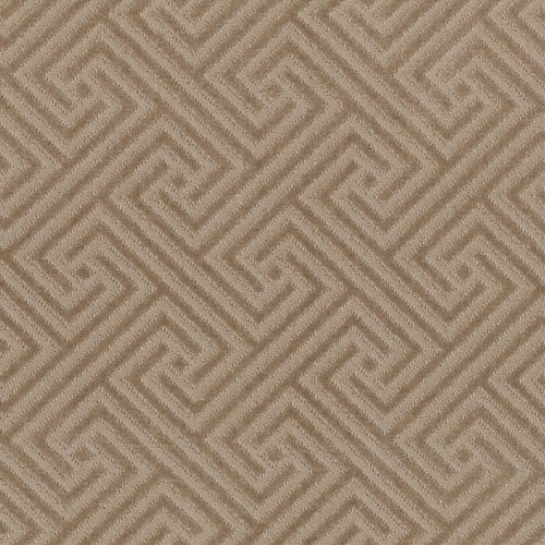 ARTIFACT in Birchwood Carpet