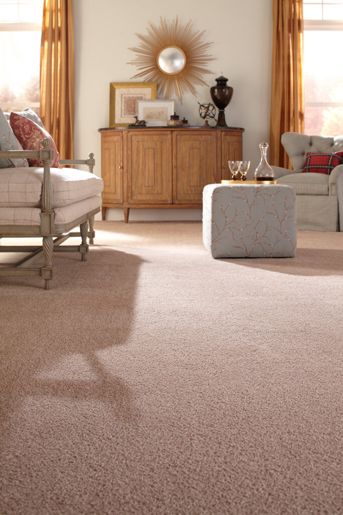 Carpet texture detail