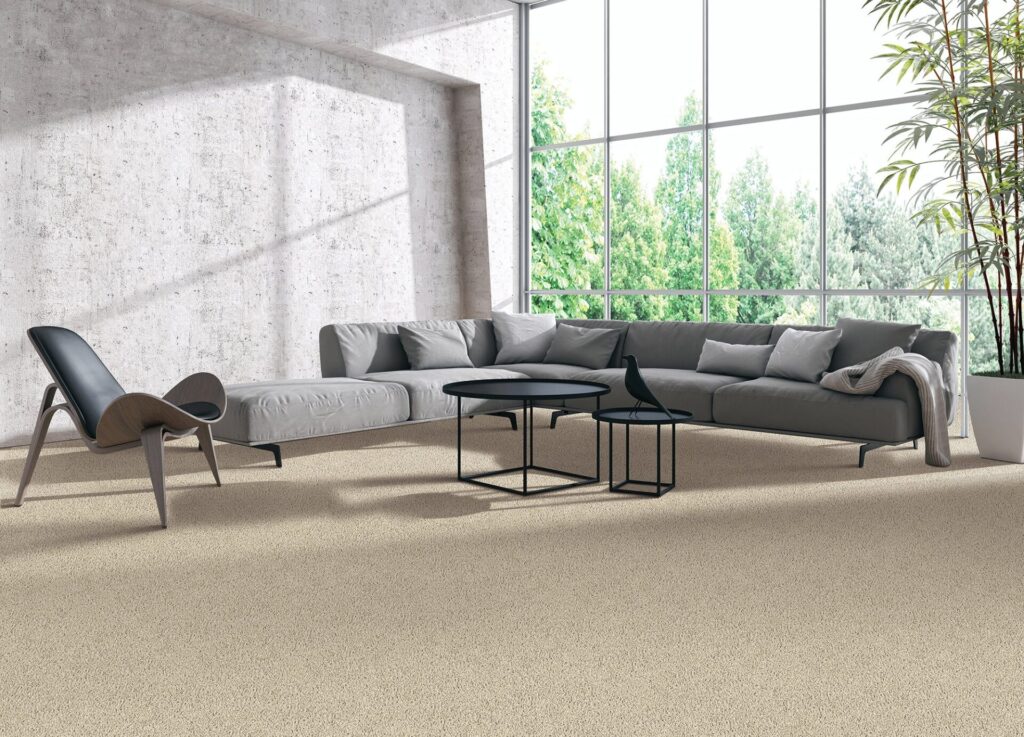 Carpeted living room
