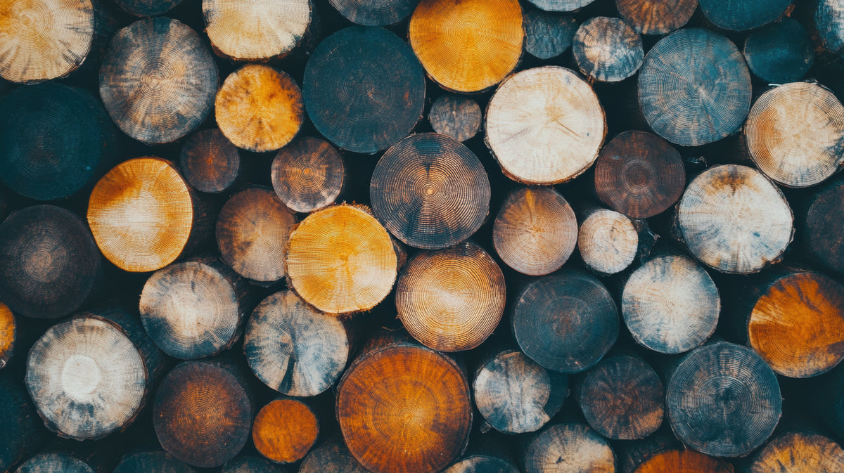 Types of hardwood flooring species in the Tri-Cities, WA from Murley's Floor Covering