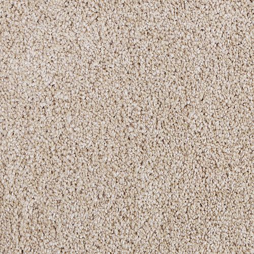 Stain resistant carpet with a limited lifetime stain warranty